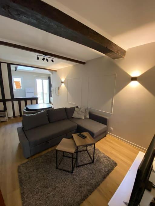 Appartement Charmant Hypercentre Avec Patio Prive Et Parking Orléans Exteriér fotografie